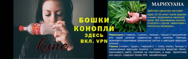 мдпв Михайлов