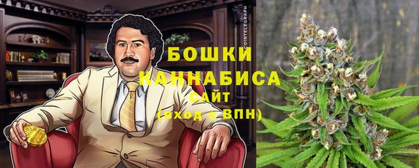 мдпв Михайлов