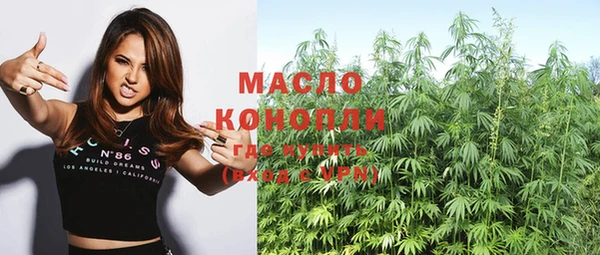 мдпв Михайлов