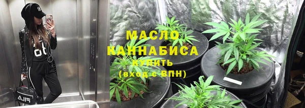 мдпв Михайлов