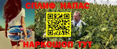 сатива Азнакаево