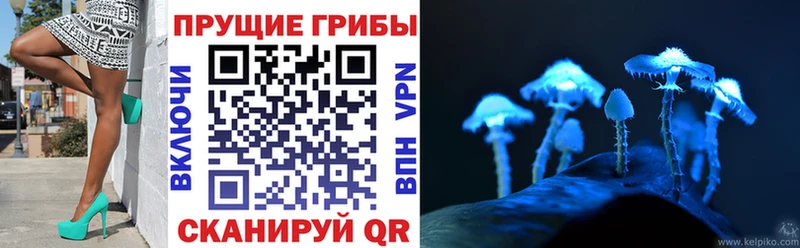 Галлюциногенные грибы GOLDEN TEACHER  Тейково 